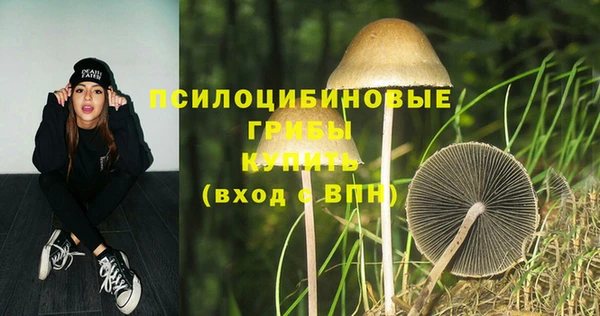 синтетический гашиш Балахна