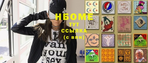 прущие грибы Аркадак